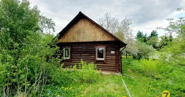 Haus in Piatryskauski sielski Saviet, Belarus