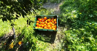 Apartment in Dierona, Cyprus