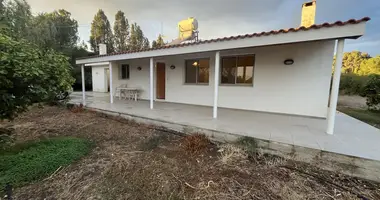 2 bedroom house in Pyrgos Lemesou, Cyprus