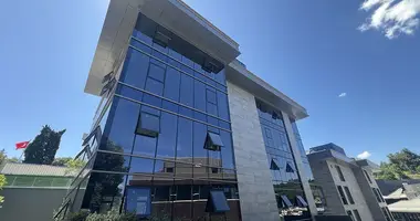 Propiedad comercial 2 318 m² en Uskudar, Turquía