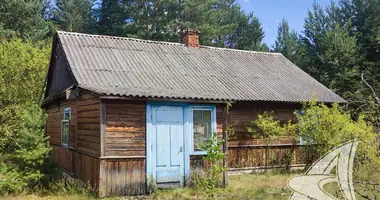 Maison dans Znamienski sielski Saviet, Bélarus