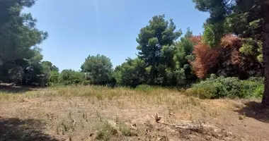Terrain dans Nikiti, Grèce