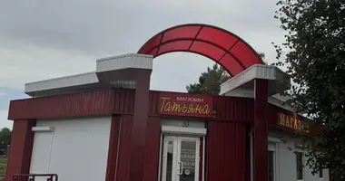 Geschäft 113 m² in Minojty, Belarus