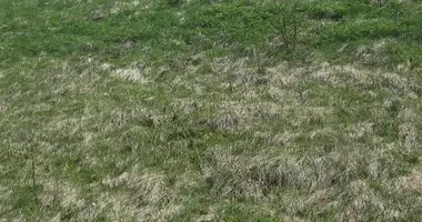 Plot of land in Yabuth District, Yemen