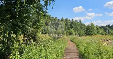 Działka w municipalnyj okrug Istra, Rosja