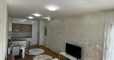 Apartment in Podgorica, Montenegro
