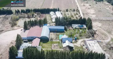 Коммерческое помещение 1 000 м² в Parudaminys, Литва