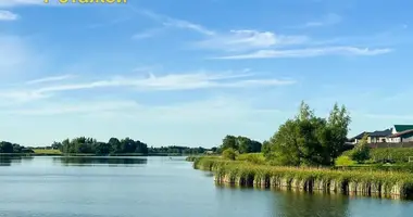 Terrain dans Dabryniouski sielski Saviet, Bélarus