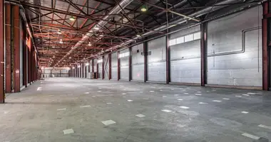 Warehouse 4 223 m² in Eremino, Russia