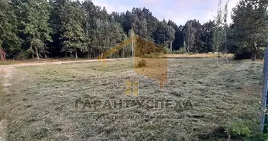 Działka w Znamienski sielski Saviet, Białoruś