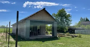 House in Stankauski sielski Saviet, Belarus