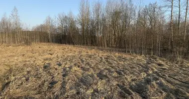 Grundstück in Katiliskes, Litauen