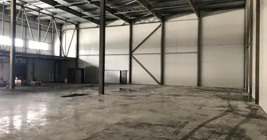 Склад 1 512 м² в Чкалово, Россия