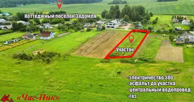 Участок земли в Озерицко-Слободской сельский Совет, Беларусь