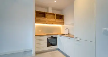 2 bedroom apartment in Radovici, Montenegro