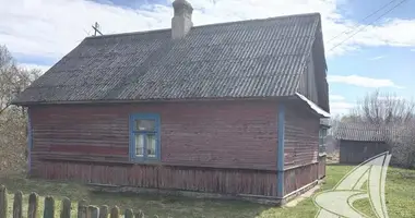 House in Carnaucycki sielski Saviet, Belarus