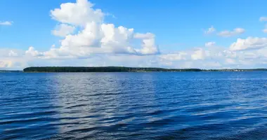 Дом 2 спальни в Щербовичи, Беларусь