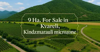 Terrain dans Kvareli, Géorgie
