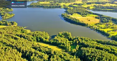 Plot of land in Paukoje, Lithuania