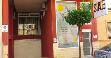 Propriété commerciale 110 m² dans Guardamar del Segura, Espagne