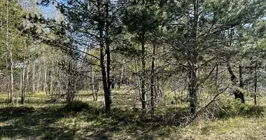 Участок земли в Колодищанский сельский Совет, Беларусь