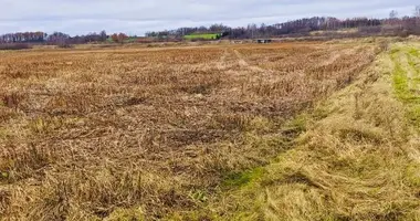Grundstück in Jaunsatu pagasts, Lettland