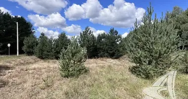 Участок земли в Мухавецкий сельский Совет, Беларусь
