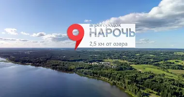 Дом в Нарочь, Беларусь