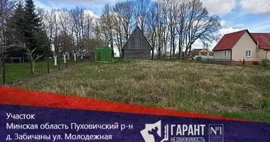 Terrain dans Piarezyrski sielski Saviet, Bélarus