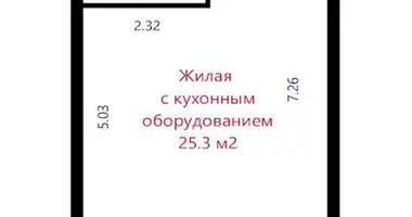 1 room apartment in Minsk, Belarus