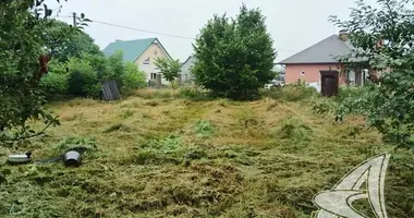Grundstück in Lyscycki sielski Saviet, Belarus