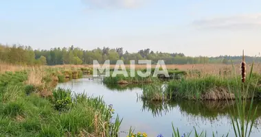 Plot of land in Stelpes pagasts, Latvia