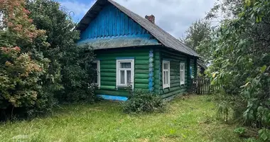 House in Prudzisca, Belarus