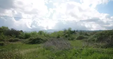 Terrain dans Róda, Grèce