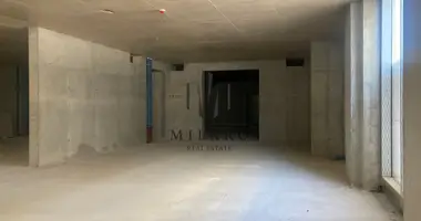 MODERN BUSINESS PREMISES, CLOSE TO CENTER  в Zuleva vas, Словения