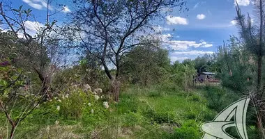 Участок земли в Мотыкальский сельский Совет, Беларусь