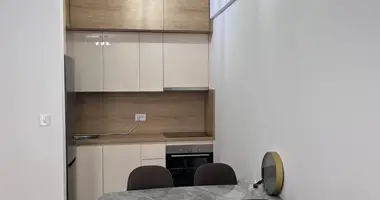 1 bedroom apartment in Podgorica, Montenegro
