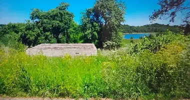 Plot of land in Kamien, Belarus