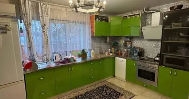Dom w Babovicki sielski Saviet, Białoruś
