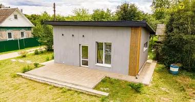 House in Piatryskauski sielski Saviet, Belarus