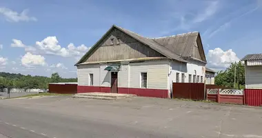 Производство 412 м² в Холопеничи, Беларусь