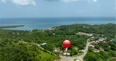 6 bedroom house in Pollytilly Bight, Honduras