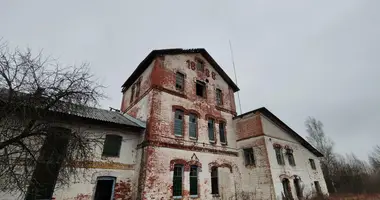 Manufacture 2 513 m² in Zavalocycy, Belarus