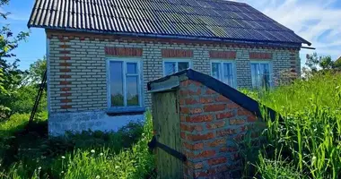 House in Kasciukouka, Belarus