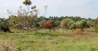 Terrain dans Kriopigi, Grèce