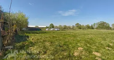 Casa en Turynski sielski Saviet, Belarús