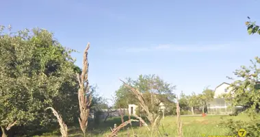 Działka w Holacki sielski Saviet, Białoruś