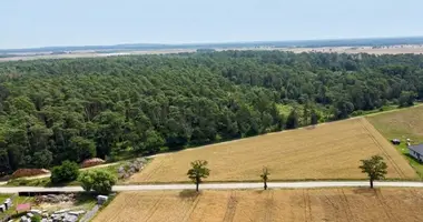 Działka w Zamyslowo, Polska