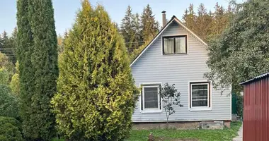 House in Piatryskauski sielski Saviet, Belarus