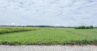 Plot of land in Papiarnianski sielski Saviet, Belarus